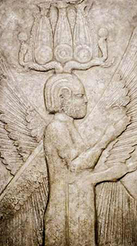 Winged Figure of Pasargadae