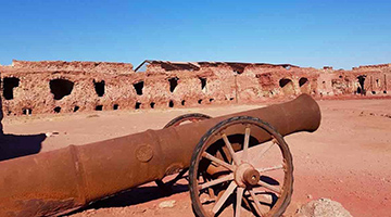 Portuguese Cannon in South of Iran