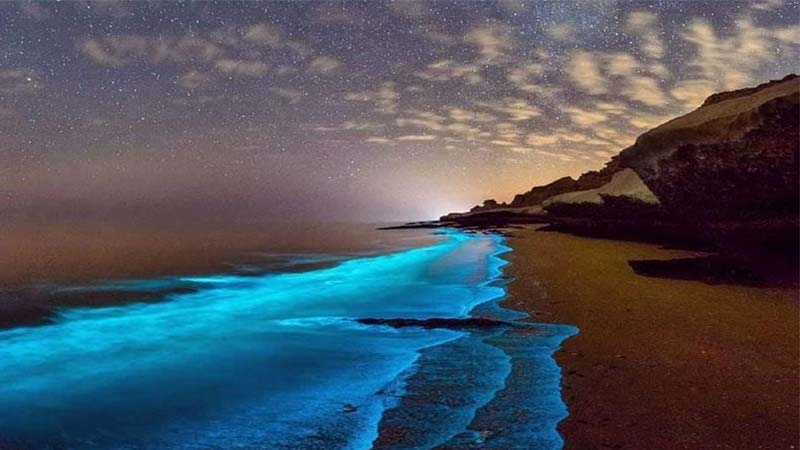 Iran's famous places: Qeshm Island, a Natural Paradise