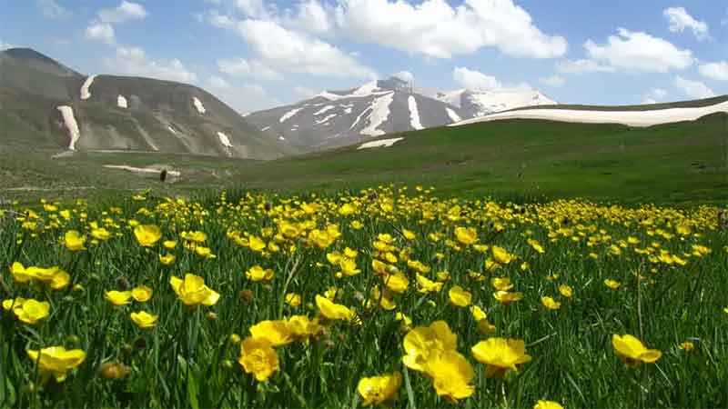 Mountain Climbing in Iran: Mount Sahand