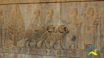 Achaemenid Persepolis Bas-reliefs