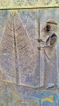 Achaemenid Relief in Persepolis