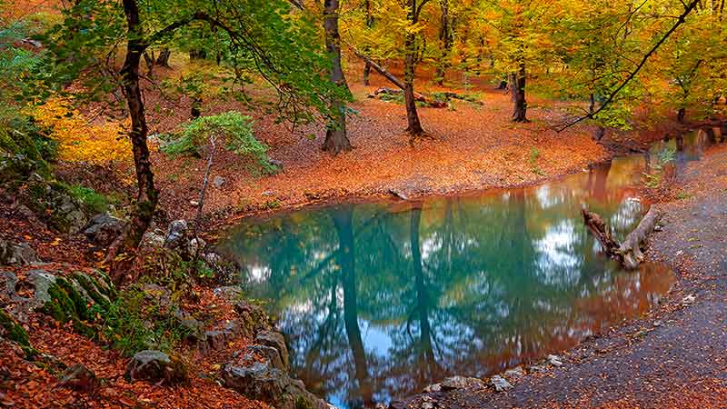 Golestan National Park in Autumn
