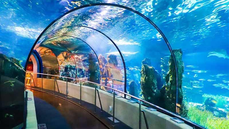 kish attractions: Aquarium
