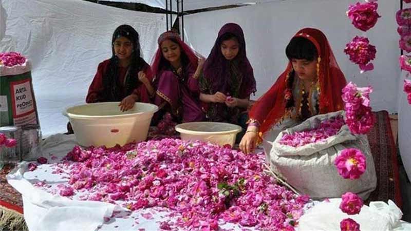 children in Kashan Rose Water Festival