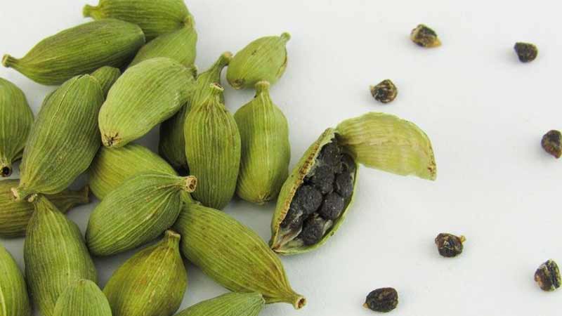 Cardamom: A Fragrant Iranian Spice as a Flavor Enhancer
