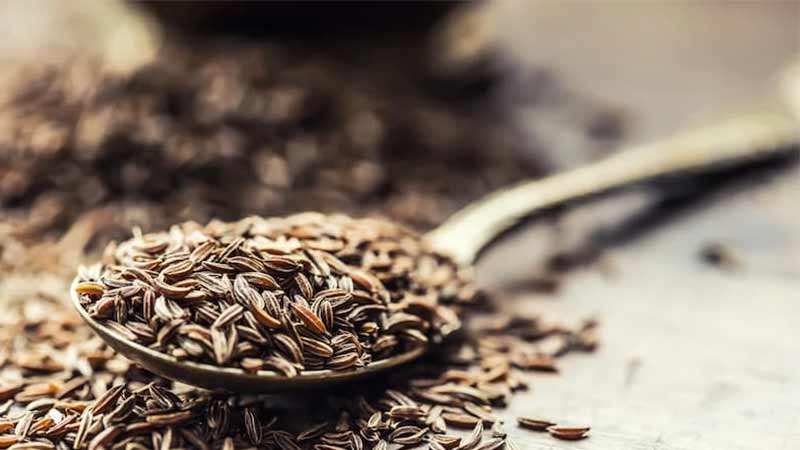 Cumin: An Iranian Spice with a Distinct Flavor and Color