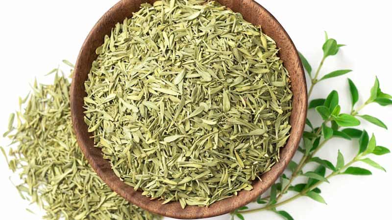 Thyme: A Spicy and Fragrant Spice with Disinfectant Properties
