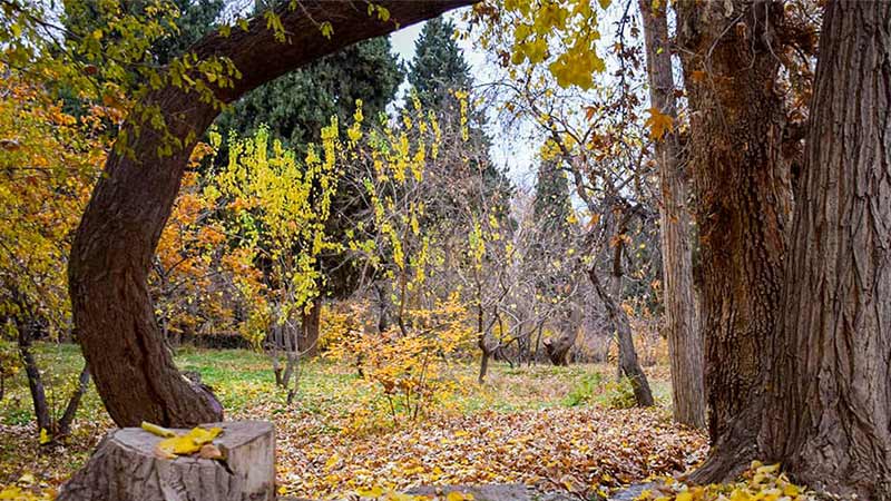 History of Shazdeh Garden in Kerman